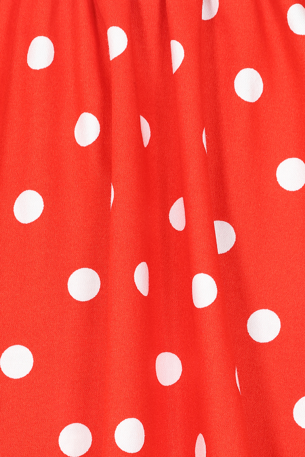 Paula Polka Dot Swing Skirt